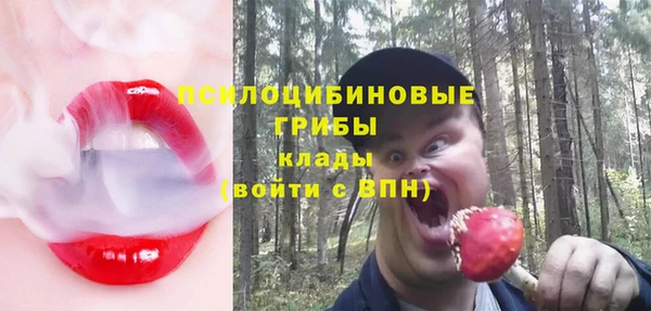 молекула духа Балахна