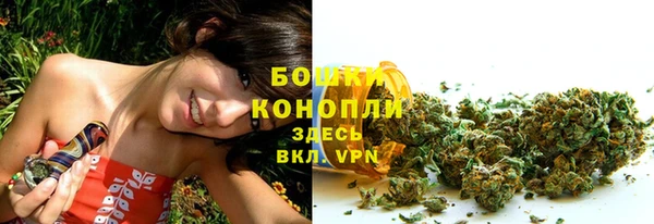 молекула духа Балахна