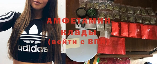 молекула духа Балахна