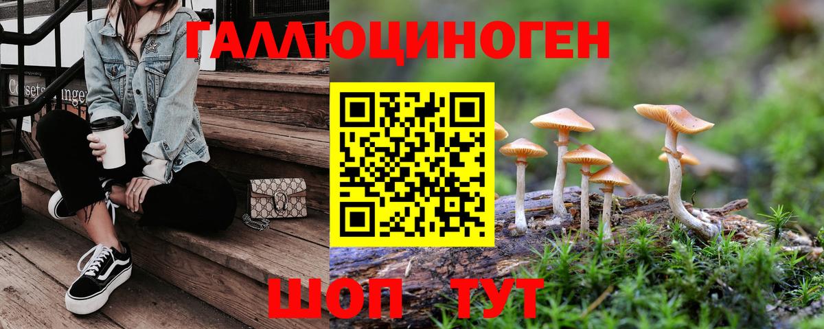 Галлюциногенные грибы Psilocybine cubensis  Вход с VPN  Гудермес  Псилоцибиновые грибы Cubensis 