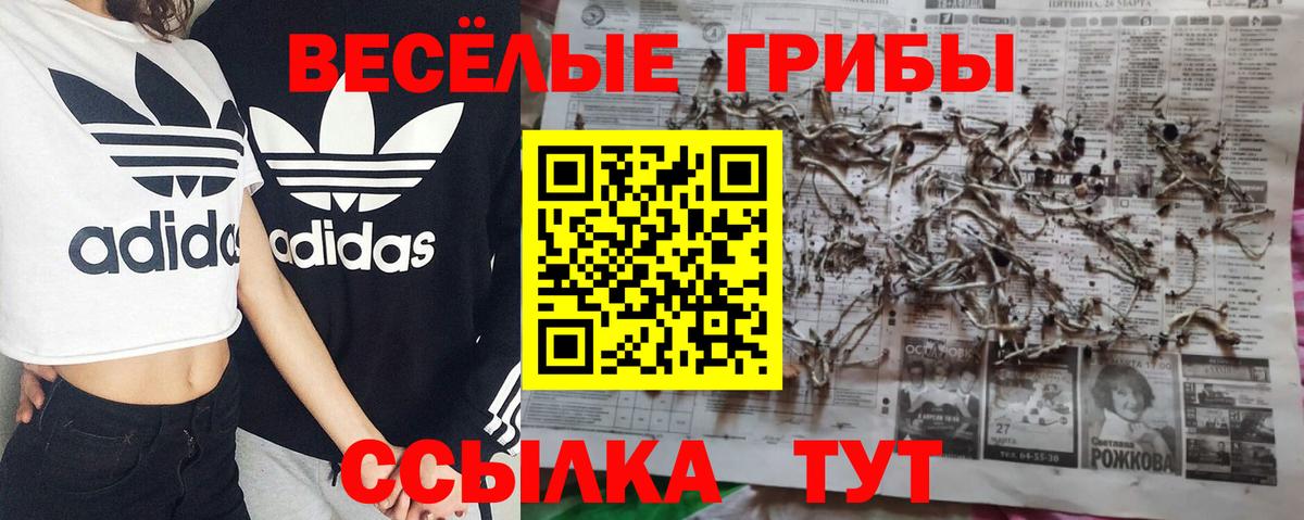 Псилоцибиновые грибы мицелий Гудермес