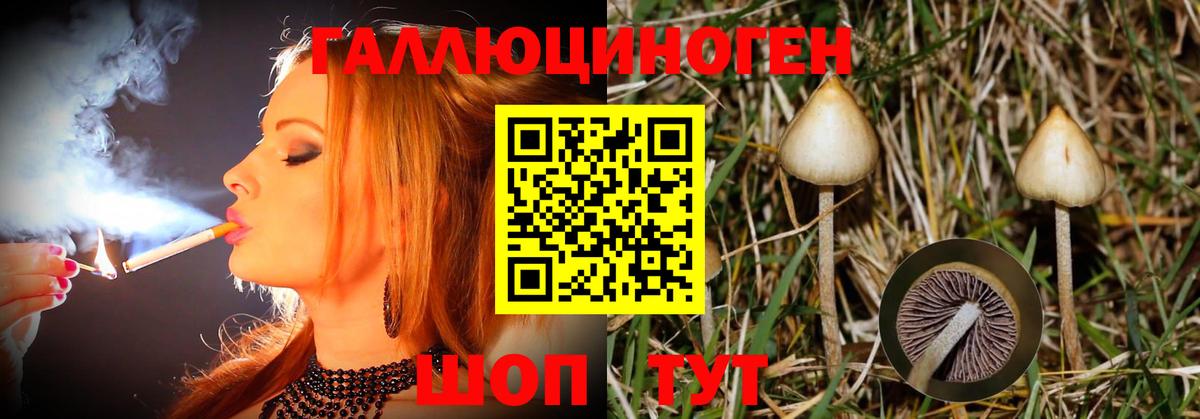 Галлюциногенные грибы Cubensis Гудермес