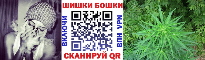 Шишки марихуана THC 21%  мега зеркало  Гудермес 